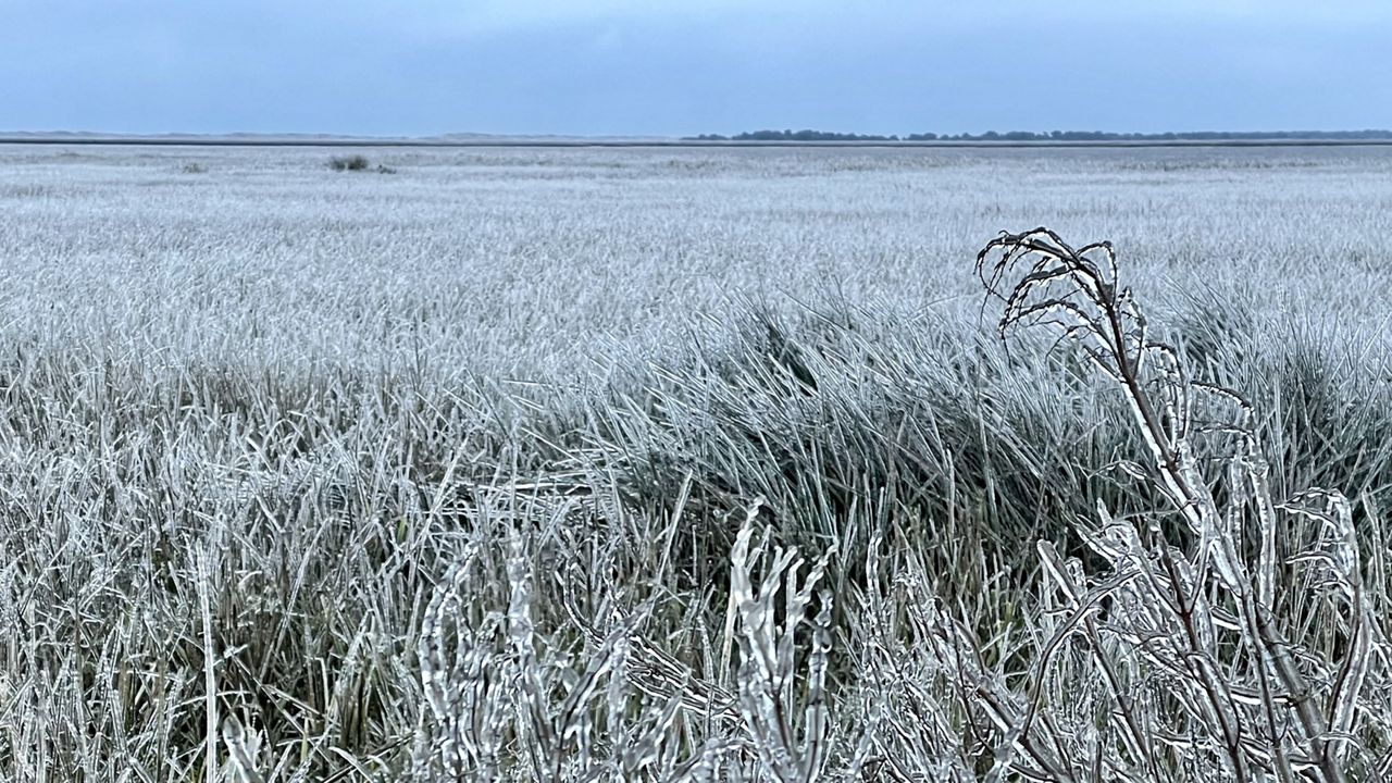 The 20212022 winter was warm and fierce in North Carolina